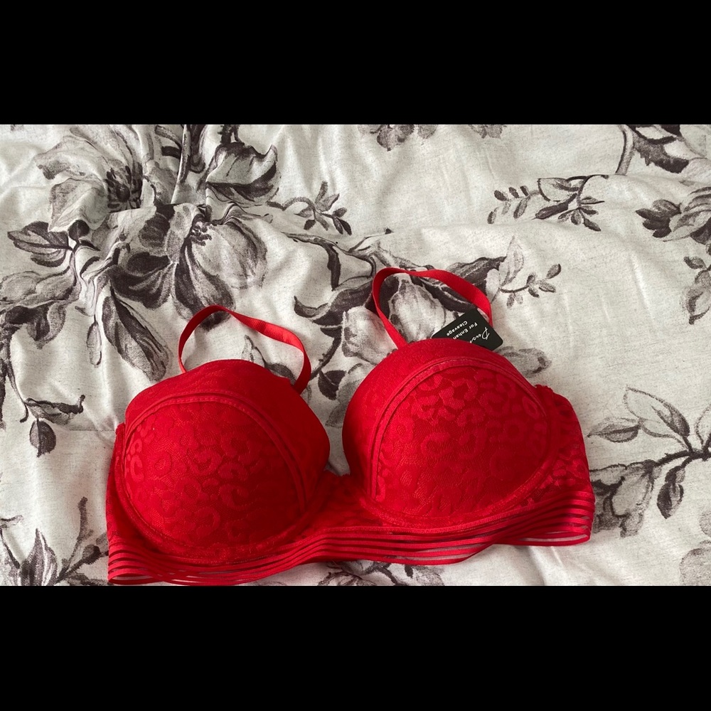 Fashion Nova bra.